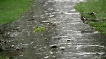 特写镜头雨滴路径夏天雨雷雨重倾盆大雨娱乐中心松森林公园水流大滴