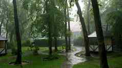 夏天雨雷雨重倾盆大雨娱乐中心松森林公园水流大滴