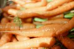 农业蔬菜植物自然健康的饮食可持续发展的生活方式自然农业农村有机绿色橙色胡萝卜农场市场维生素营养