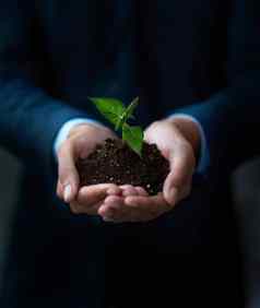 未来业务安全手商人持有植物日益增长的土壤