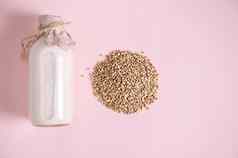 平躺素食主义者绿色荞麦牛奶瓶植物基于牛奶替代者谷物荞麦粉红色的背景