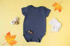 婴儿紧身衣模型南瓜黄色的背景文本标志的地方秋天季节