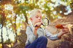 有趣的找到拍摄好奇的男孩探索森林放大玻璃