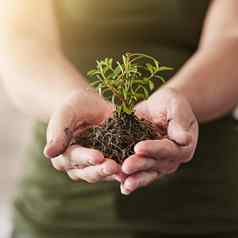 世界成长女人持有植物日益增长的土壤