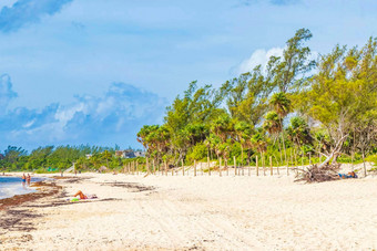 热带墨西哥海滩完整的人playa的卡门墨西哥
