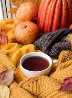 舒适的秋天作文毛衣天气南瓜热茶毛衣窗口