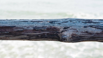 水平行黑暗棕色（的）狭窄的板材日志硬木树皮表面纹理阀杆背景海董事会