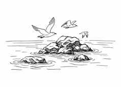 景观海岩石海鸥手画插图