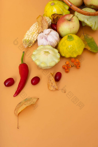 秋天收获篮子玉米苹果西葫芦辣椒橙色背景收获概念