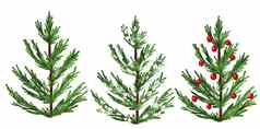 水彩手画插图圣诞节树冬天一年常绿冷杉松云杉植物12月季节庆祝活动设计假期聚会，派对打印邀请卡片孤立的白色背景