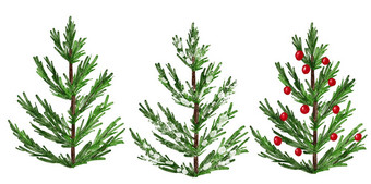 水彩手画插图圣诞节树冬天一年常绿冷杉松云杉植物12<strong>月季</strong>节庆祝活动设计假期聚会，派对打印邀请卡片孤立的<strong>白色</strong>背景