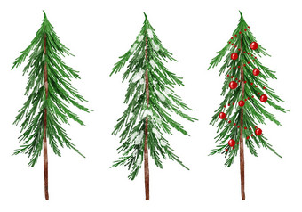 水彩手画插图圣诞节树冬天一年常绿冷杉松云杉植物12<strong>月季</strong>节庆祝活动设计假期聚会，派对打印邀请卡片孤立的白色背景