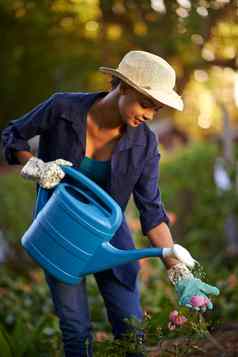 绿色拇指绿色手年轻的女人浇水花园