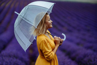 中年女人薰衣草场走伞多雨的一天享受芳香疗法芳香疗法概念薰衣草石油照片会话薰衣草