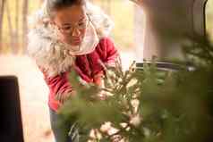 年轻的女人眼镜温暖的红色的冬天夹克围巾把圣诞节树内部车运输首页