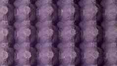 紫色的三维纹理晶格结构凸起