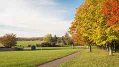 全景视图农场景观秋天季节树橙色红色的绿色叶子绿色场