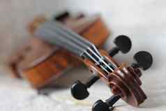 小提琴用带系上专业音乐的仪器