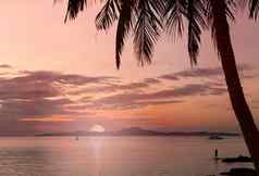 椰子棕榈树轮廓海晚上日落天空背景