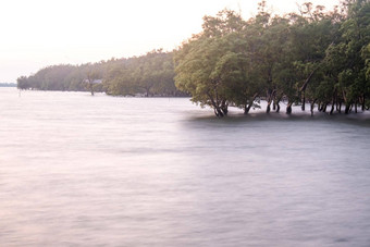 长曝光平静海地平线黄昏红树林森林自然保留大坝保护环境