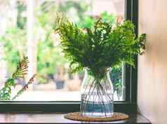 绿色蕨类植物叶子玻璃花瓶装修玻璃窗口