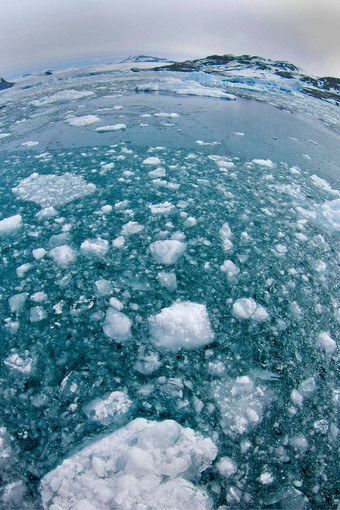 漂移浮动冰艾伯特土地挪威