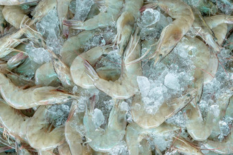 新鲜的白色虾压碎冰出售市场生虾烹饪海鲜餐厅海食物行业贝类动物虾市场未煮过的虾虾冻食物工厂