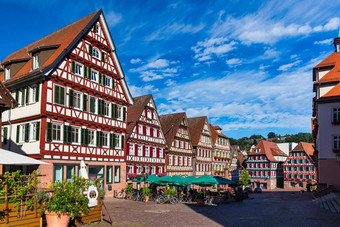 美丽的花色彩斑斓的小镇图宾根德国符腾堡房子河Neckar霍尔德林塔图宾根Baden-Wuerttemberg德国图宾根德国