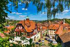 美丽的花色彩斑斓的小镇图宾根德国符腾堡房子河Neckar霍尔德林塔图宾根Baden-Wuerttemberg德国图宾根德国