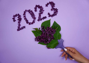 登记铺设淡紫色背景淡紫色花