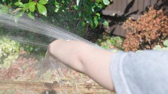 有趣的男孩浇水草坪上植物花园住房后院可爱的孩子玩灌溉软管热阳光明媚的夏天在户外孩子们<strong>做家务</strong>活动孩子们童年