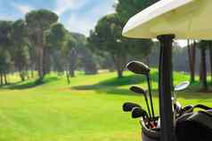 特写镜头高尔夫球俱乐部高尔夫球袋回来高尔夫球车美丽的高尔夫球松树