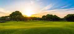 高尔夫球日落美丽的蓝色的天空风景优美的全景视图完美的高尔夫球球道高尔夫球场高松树