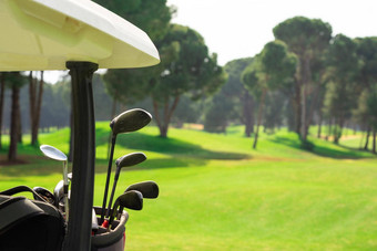 集高尔夫球俱乐部高尔夫球袋回来高尔夫球车美丽的高尔夫球松树