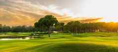高尔夫球日落美丽的天空风景优美的全景视图高尔夫球球道高尔夫球场松树