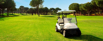 高尔夫球车球道高尔夫球绿色草场蓝色的天空树