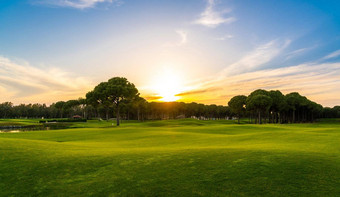 全景高尔夫球日落美丽的天空风景优美的全景视图高尔夫球球道高尔夫球场松树
