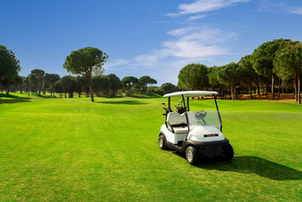 高尔夫球车高尔夫球绿色草场蓝色的天空树贝莱克<strong>火鸡</strong>
