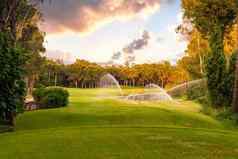 浇水草高尔夫球日落美丽的天空风景优美的全景视图高尔夫球球道高尔夫球场松树