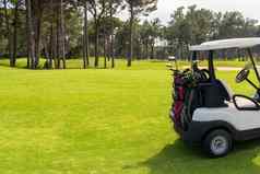 集高尔夫球俱乐部高尔夫球袋回来高尔夫球车美丽的高尔夫球