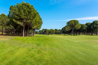 全景视图美丽的高尔夫球松树阳光明媚的一天高尔夫球场球道湖松树