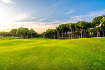 高尔夫球日落美丽的蓝色的天空风景优美的全景视图完美的高尔夫球球道高尔夫球场高松树