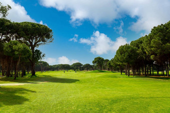 全景视图美丽的高尔夫球松树阳光明媚的一天高尔夫球场球道湖松树