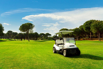 高尔夫球<strong>车</strong>球道高尔夫球绿色草场多云的天空树日落