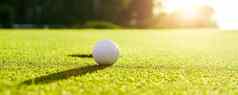 高尔夫球球绿色草洞高尔夫球日落