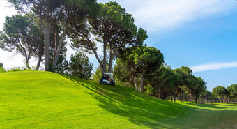 全景视图美丽的高尔夫球车松树阳光明媚的一天高尔夫球场球道湖松树