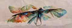 蜻蜓水彩五彩缤纷的溅明亮的水彩插图及蜻蜓手画图像昆虫标志卡画集蜻蜓
