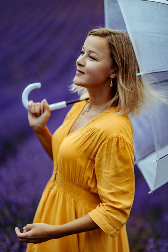 中年女人<strong>薰衣草</strong>场走伞多雨的一天享受芳香疗法芳香疗法概念<strong>薰衣草</strong>石油照片会话<strong>薰衣草</strong>