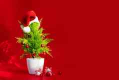 圣诞节树装饰红色的背景复制粘贴模型
