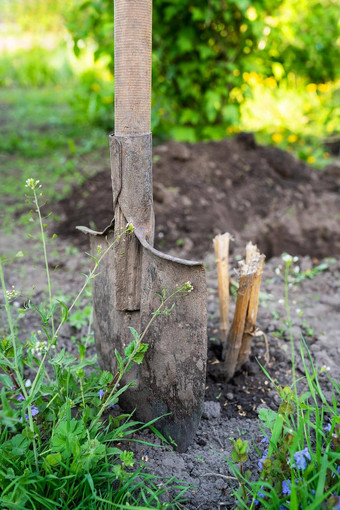 铲站地面种<strong>植树</strong>挖掘洞男人。种<strong>植树</strong>概念生态环境保护